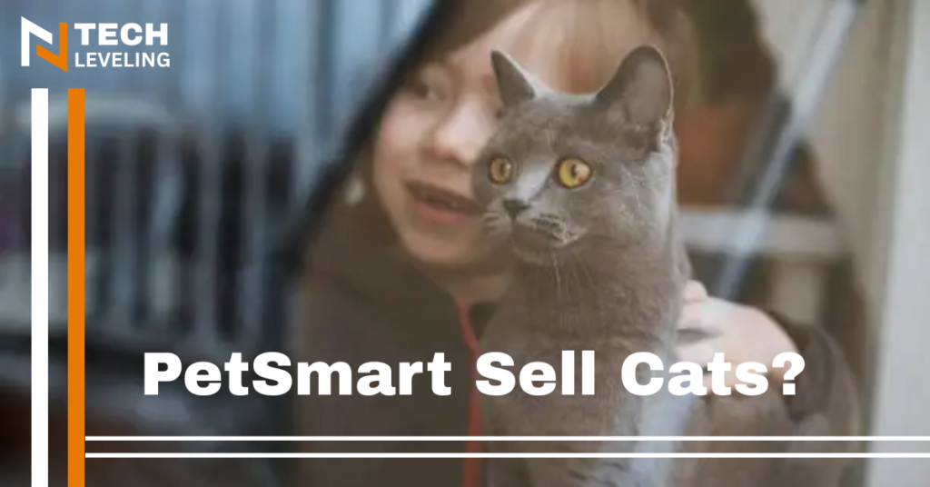 How kinds of a petsmart have cats? Smartpet is store of smart pets that are avail of defferent spieces